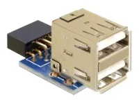 DELOCK MBz USB Ph Bu >2x USB2.0-A Bu V