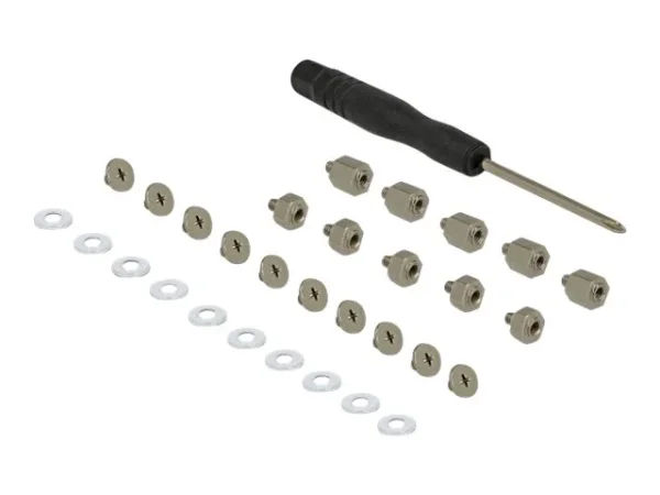 DELOCK ﻿Befestigungsset 31-teilig M.2