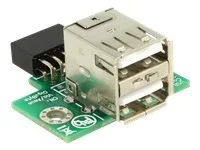 DELOCK USB Pfostenbuchse > 2 x USB 2.0