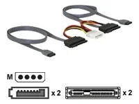 DELOCK SATA All-in-One Kabel fuer 2x HDD
