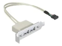 DELOCK Slotblech USB 2.0 2xPort Low Prof