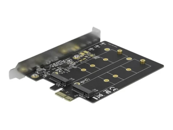 DELOCK PCIe x1 Karte zu 2 x intern M.2
