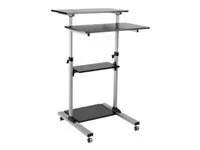 ROLINE PC-Steh-Arbeitsplatz höhenverstel