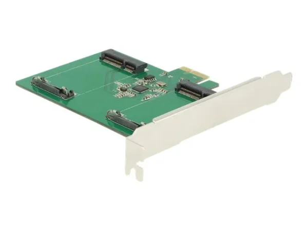 DELOCK PCI Express Karte > 2 x mSATA