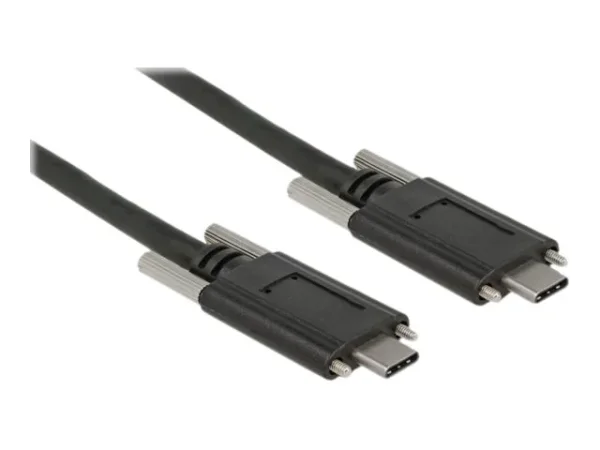 DELOCK Kabel SuperSpeed USB 10 Gbps USB