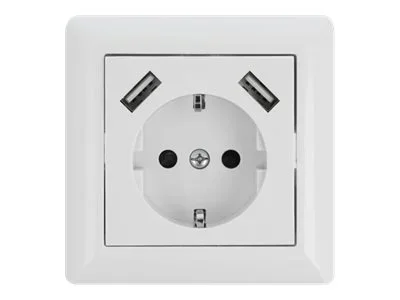 DELOCK Einbausteckdose mit 2 x USB Typ-A