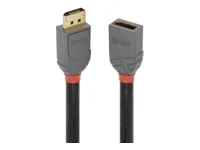 LINDY 0.5m DP Verlängerung Anthra Line