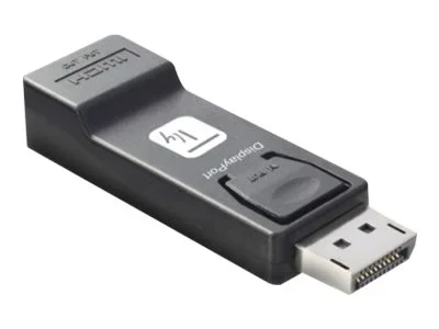 TECHLY Adapter DisplayPort 1.2 SCHWARZ