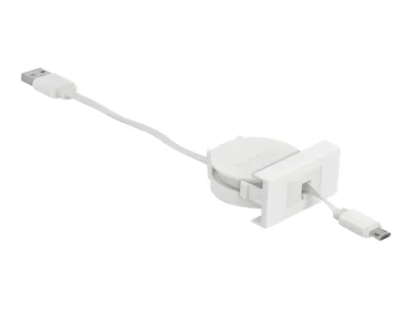 DELOCK Easy 45 Modul USB2.0 Ausrollkabel