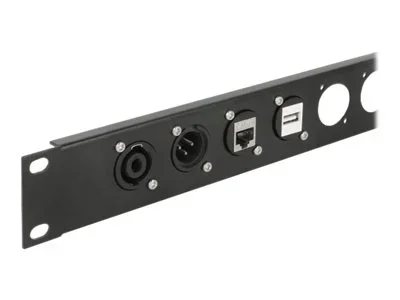 DELOCK D-Typ Modul USB2.0 Typ-A Bu zu Bu