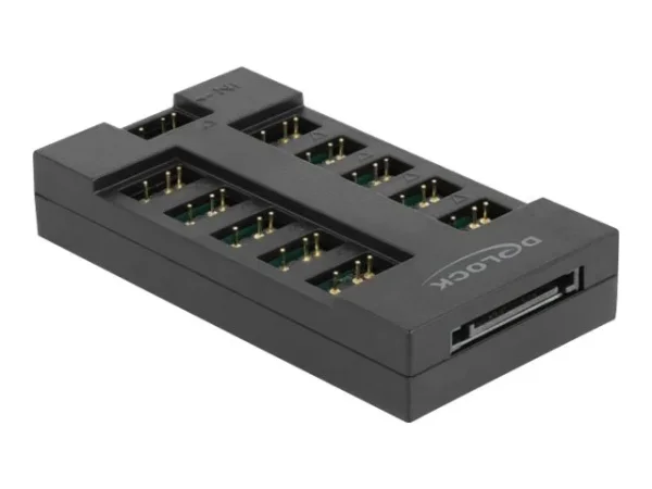 DELOCK RGB Hub ARGB LEDs mit 10 Ports