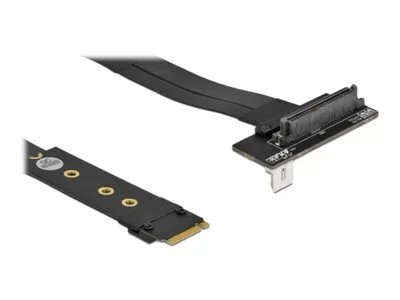 DELOCK M.2 Key M zu U.2 SFF-8639 NVMe