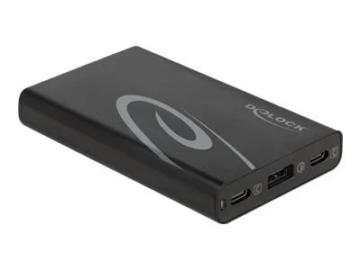 DELOCK USB Ladegerät 2 x USB Type-C 60 W