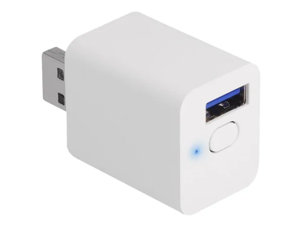 DELOCK WLAN EASY-USB Smart Schalter MQTT