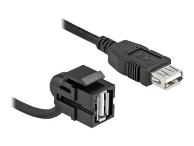DELOCK Keystone Modul USB 2.0 A Buchse