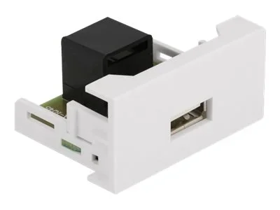 DELOCK Easy 45 Modul USB 2.0 Typ-A >RJ45
