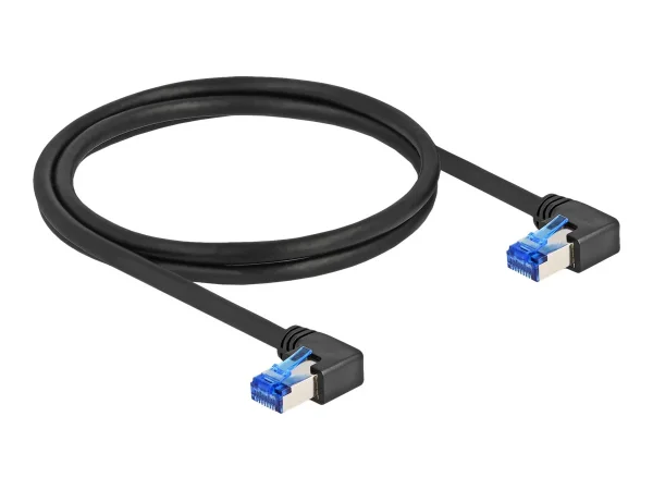 DELOCK RJ45 Netzwerkk Cat.6A S/FTP 1m