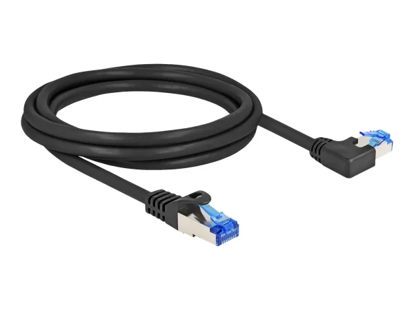 DELOCK RJ45 Netzwerkk Cat.6A S/FTP 2m