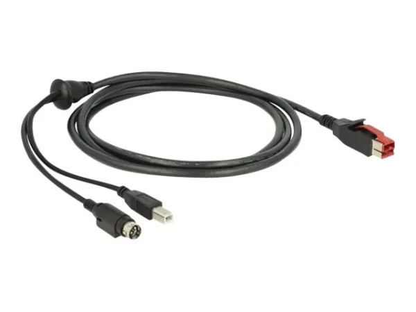 DELOCK PoweredUSB Kabel 24V>USB Typ-B 2m