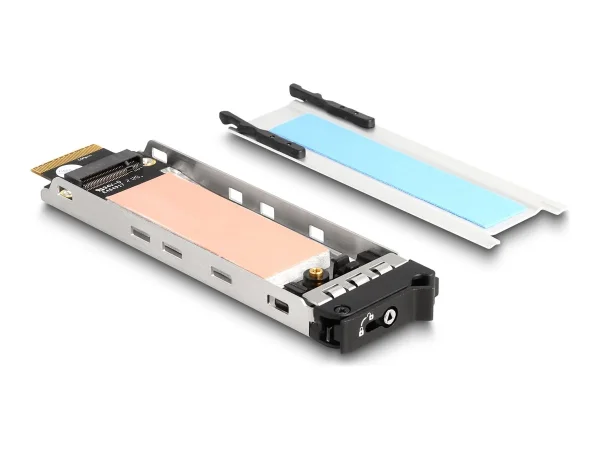 DELOCK Wechselrahmen Einschub 1 x M.2