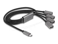 DELOCK 4 Port USB 2.0 Kabel-Hub Type-C