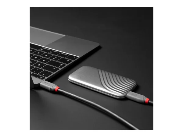 LINDY 0,8m USB 4 240W Type C Cable