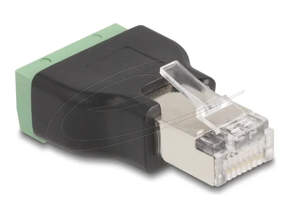 DELOCK RJ45 zu Terminalblock Adap 4 Pin