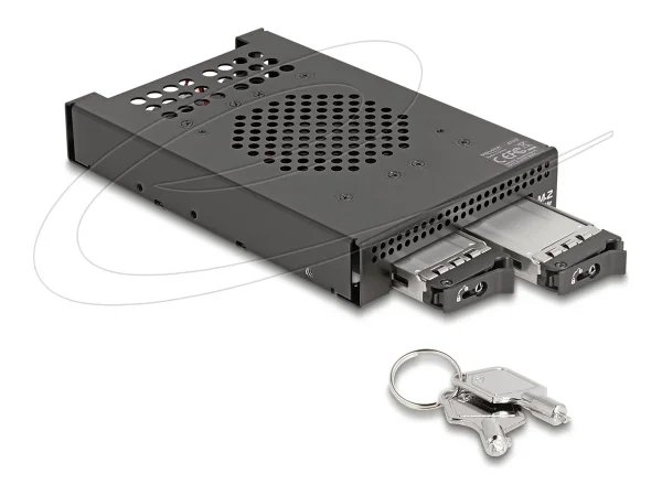 DELOCK 3.5 Wechselr fur 2 x M.2 SFF-8654