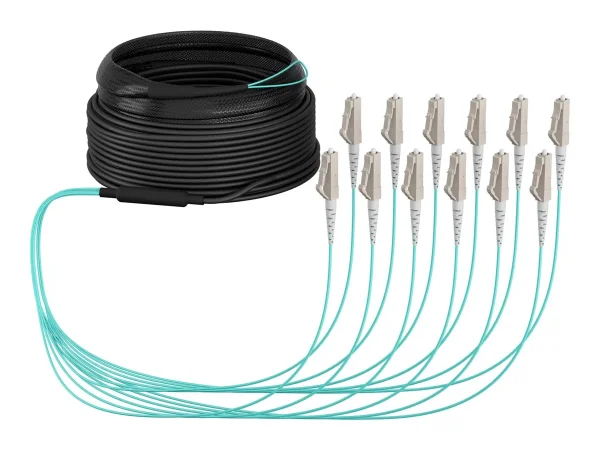 EFB Trunkkabel U-DQ ZN BH 12G 30m