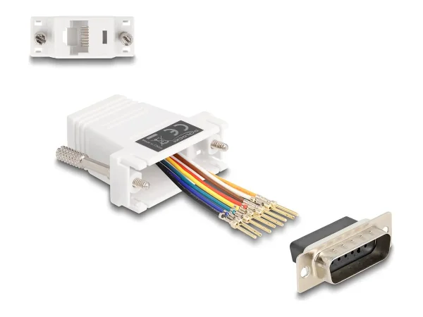 DELOCK D-Sub 15 Pin Stecker zu RJ45 Buch