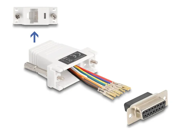 DELOCK D-Sub 15 Pin Buchse zu RJ45 Buchs