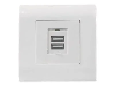 INT Unterputzdose 2 x USB A-Ladeports