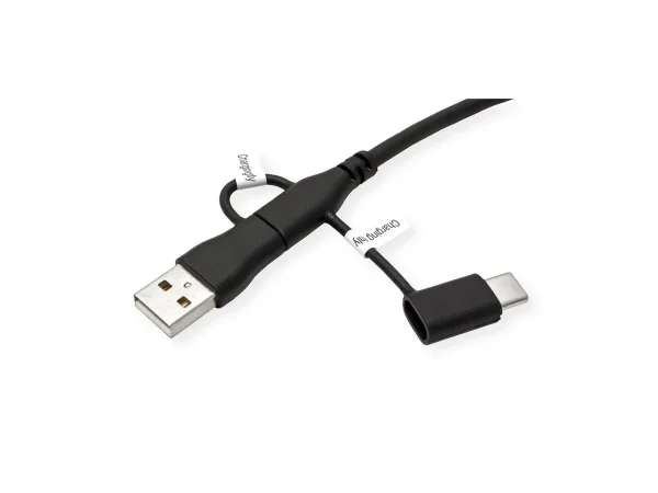 ROLINE USB 2.0 Kabel Typ C ST/ST A+C 1m