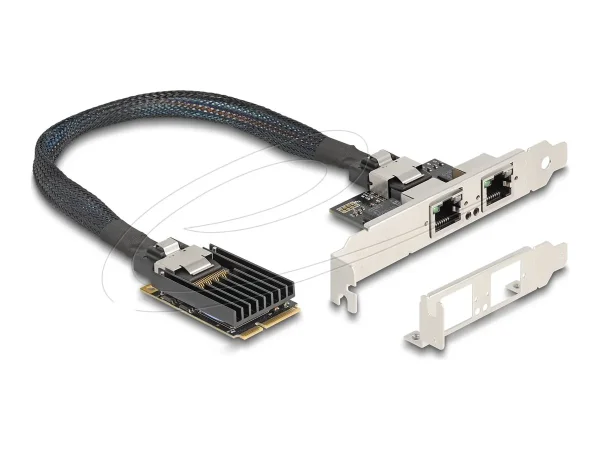 DELOCK Mini PCIe I/O 2x RJ45 Gigabit LAN