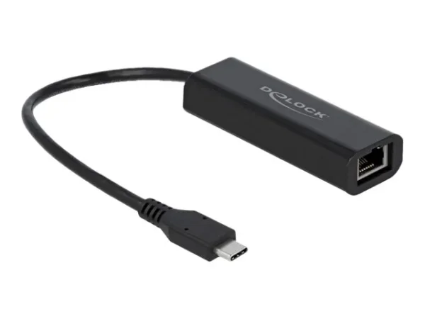 DELOCK Ada USB Type-C zu 2,5 Gigabit LAN