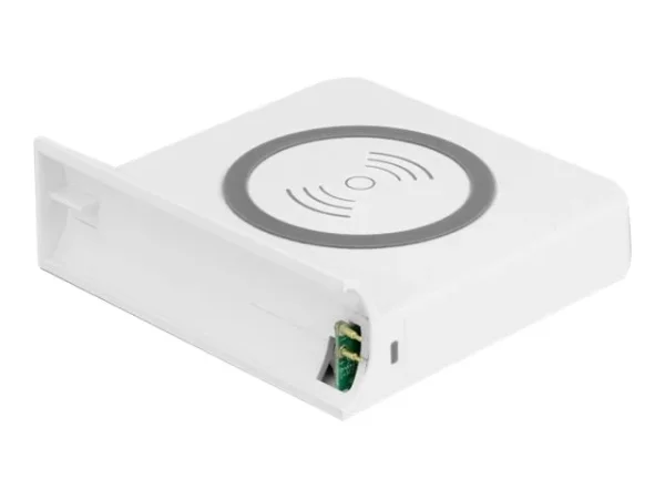 DELOCK Ladegerät für Delock 41450