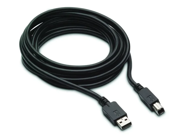 HP 300cm DP+USB B-A CABLES