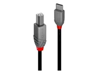 LINDY 0,5m USB 2.0 Type C an B Kabel Ant