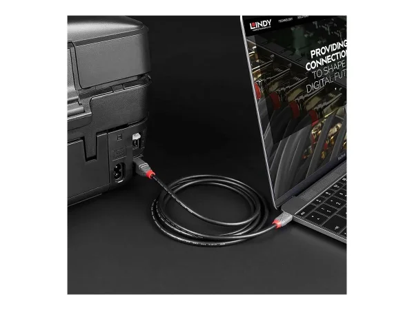 LINDY 1m USB 2.0 Type C an B Kabel Anthr