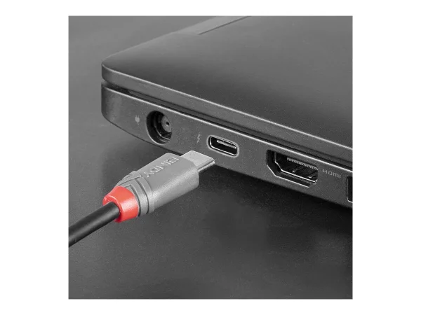 LINDY 3m USB 2.0 Type C an Micro-B Kabel