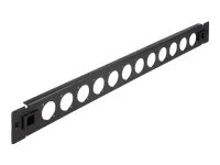 DELOCK 48,26cm D-Typ Patchpanel 12 Port