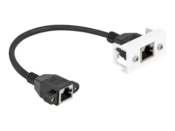DELOCK Easy 45 Modul RJ45 Cat.6A 25 cm