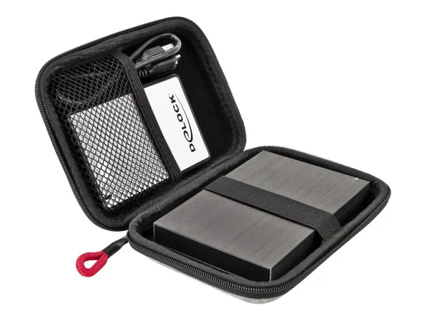 DELOCK Schutztasche 6,35cm SSDs 12x8x2cm