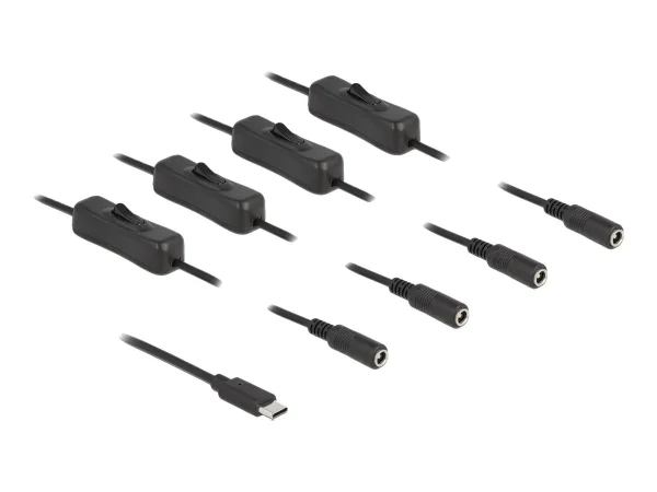 DELOCK Kabel USB Type-C zu 4 x DC 1 m