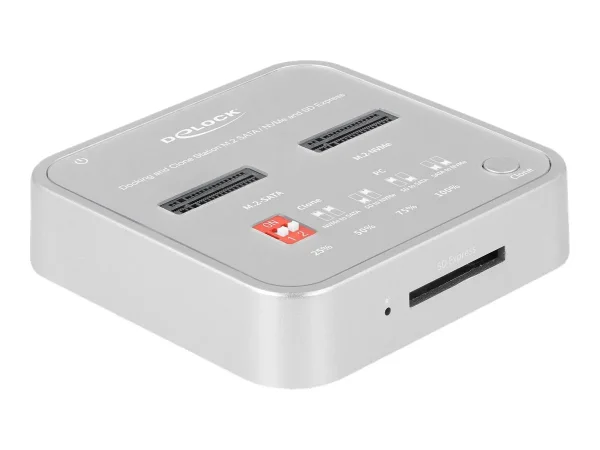 DELOCK Dockingstation fur 1 x M.2 NVMe