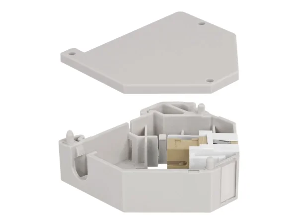 DELOCK Hutschienenadap SC Simplex beige