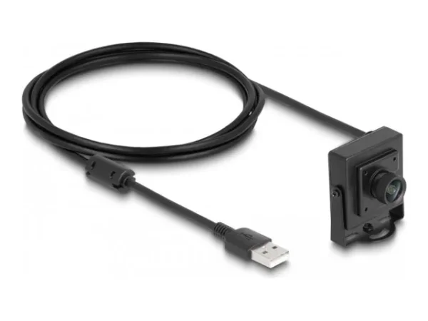 DELOCK USB 2.0 Kamera 2,1megapixel 100