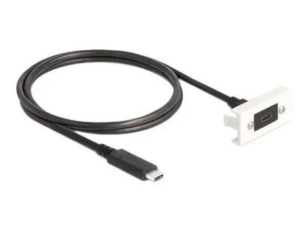 DELOCK Easy 45 Modul USB 3.2 Gen 2 USB