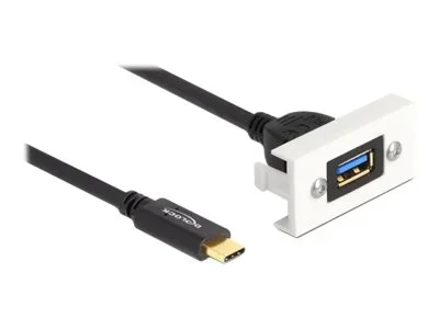DELOCK Easy 45 Modul USB 3.2 Gen 2 USB