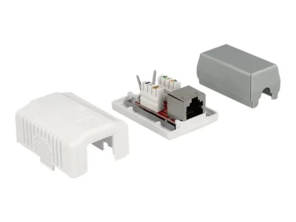 DELOCK Anschlussdose 1 Port Cat.6A LSA